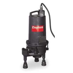  DAYTON 3BB98 Pump,Grinder,2 HP