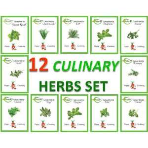 12 Culinary Herb Seeds   Grow Cooking Herbs   Parsley, Thyme, Cilantro 