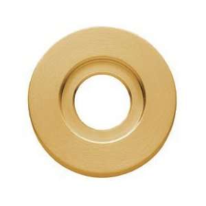   Estate Lacquered Vintage Brass Estate Rosette Part